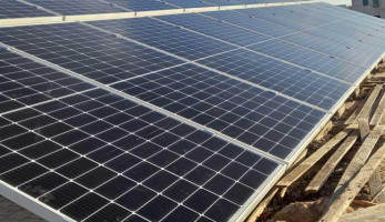 بتكلفة 2 مليون.. ننشر تفاصيل مشروع استخدام الطاقة الشمسية بجامعة الوادي الجديد
