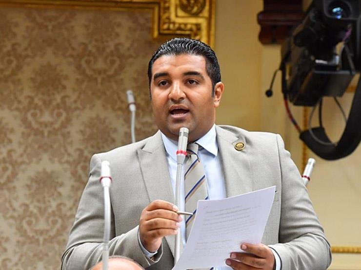 طلب إحاطة بشأن تعطل منصة الامتحانات الإلكترونية للمصريين بالخارج