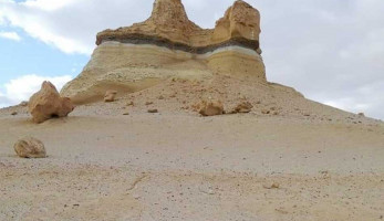 لأول مرة منذ 30 عاما.. الأزهار تنمو بجوار التكوينات الجيولوجية في وادي الحيتان |صور