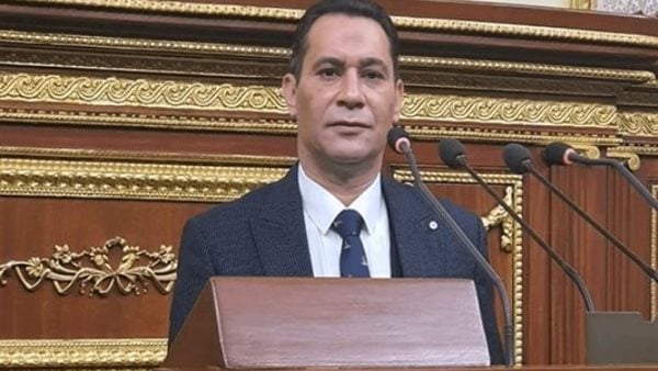 برلماني: زيارة الرئيس السيسي للهند تعزّز مكانة مصر وثقلها المؤثر في العالم