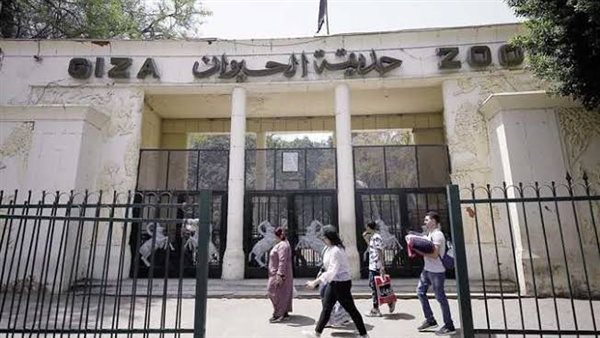 لانطلاق أعمال التطوير.. موعد غلق حديقة حيوان الجيزة