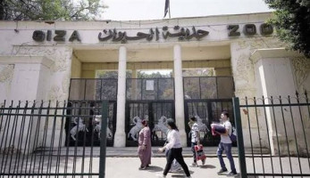 لانطلاق أعمال التطوير.. موعد غلق حديقة حيوان الجيزة