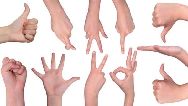القومي لذوي الإعاقة يعتمد مترجمي لغة الإشارة جهة رسمية | خاص