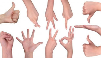 القومي لذوي الإعاقة يعتمد مترجمي لغة الإشارة جهة رسمية | خاص