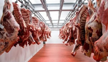 أسباب ارتفاع أسعار اللحوم البلدي والسوداني والبرازيلي