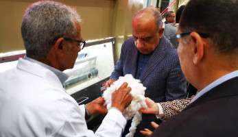 «قطاع الأعمال»: بيع 1.6 مليون قنطار قطن بإجمالي 8.9 مليار جنيه ضمن منظومة التداول الجديدة