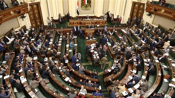 زراعة النواب: إعفاء مزارع الدواجن من الضريبة العقارية يساهم في انخفاض الأسعار