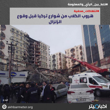 هروب الكلاب من شوارع تركيا قبل وقوع الزلزال