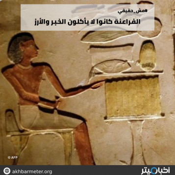 الفراعنة كانوا لا يأكلون الخبر والأرز