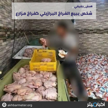 شخص يبيع الفراخ البرازيلي كفراخ مزارع