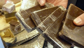 ضبط عاطلين بحوزتهما كمية من الحشيش بالقليوبية