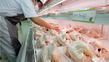التموين: انخفاض أسعار الدواجن مع وصول أول شحنة مجمدة