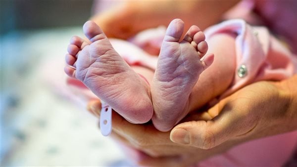 الصحة ترد علي وفاة جنين بسبب رفض مستشفى كفر شكر التخصصي استقبال الأم