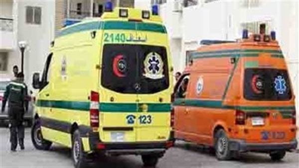 تفاصيل مصرع شخص وإصابة 23 بحادث طريق أسوان/أبو سمبل