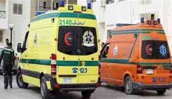 تفاصيل مصرع شخص وإصابة 23 بحادث طريق أسوان/أبو سمبل