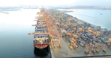 "الجمارك": الأخشاب المصدرة إلى المناطق الحرة لا تعرض على الحجر الزراعى