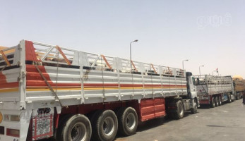 وصول 4 آلاف رأس ماشية من السودان بميناء قسطل البري لطرح اللحوم بالمجمعات الاستهلاكية