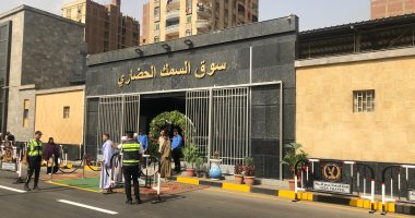 مصدر: توريد 4200 طن أسماك يوميا للسوق الحضارى بالمنيب