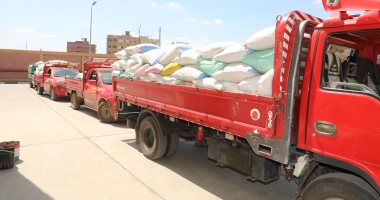 توريد 30 ألفاً و600 طن قمح حتى الآن لصوامع وشون الجيزة
