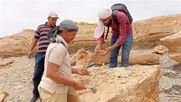 اكتشاف بقايا زاحف بحري كبير يرجع عمره لأكثر من 65 مليون سنة غرب مدينة الداخلة بالوادي الجديد