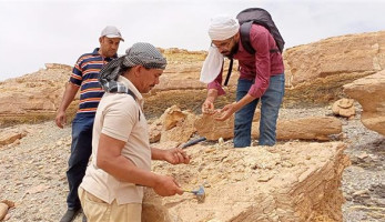 اكتشاف بقايا زاحف بحري كبير يرجع عمره لأكثر من 65 مليون سنة غرب مدينة الداخلة بالوادي الجديد