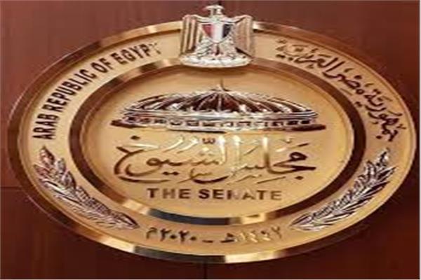 برلماني: إنشاء جهاز قومي مختص بحماية حقوق الملكية الفكرية