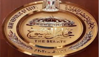 برلماني: إنشاء جهاز قومي مختص بحماية حقوق الملكية الفكرية
