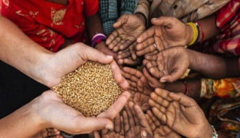 إنجازات الثقافة والغذاء في 10 سنوات.. زيادة مخزون السلع وعروض فنية للجميع