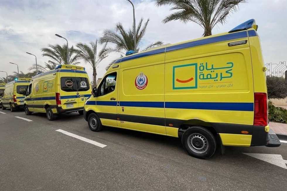 بالأسماء.. إصابة 15 شخصًا إثر اصطدام ميكروباص بـ«رصيف الصحراوي الشرقي» في المنيا