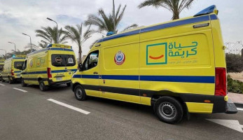بالأسماء.. إصابة 15 شخصًا إثر اصطدام ميكروباص بـ«رصيف الصحراوي الشرقي» في المنيا