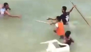 مشاجرة بعصي الشماسي على شاطئ بالإسكندرية.. و«السياحة» تكشف التفاصيل (فيديو)