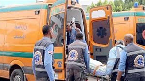 اختلفوا على بيع المخدرات.. عاطل يتخلص من آخر بطلق ناري في الدقهلية
