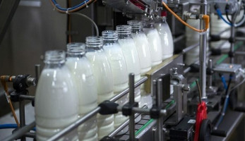 كيلو اللبن بـ 36 جنيها.. شركة لبنيتا تقرر رفع أسعار منتجاتها بنسبة 10%