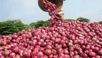 حظر تصدير البصل يدخل حيز التنفيذ أول أكتوبر ولمدة 3 أشهر