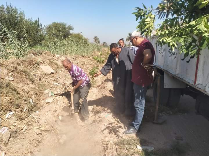 زراعة 75 شجرة مثمرة فى مناطق بحى أول المحلة
