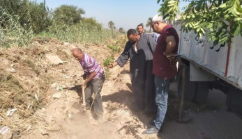 زراعة 75 شجرة مثمرة فى مناطق بحى أول المحلة