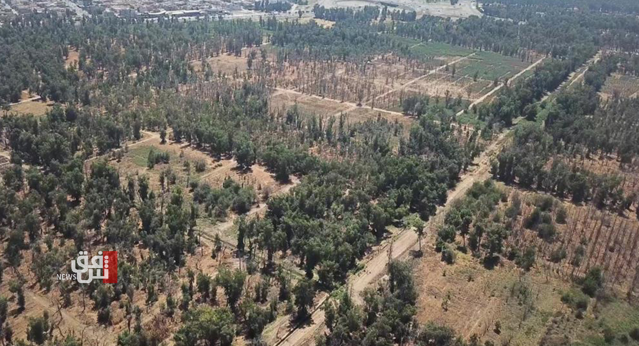 مسير شائك أمام العراق في طريق الـ11 مليار شجرة